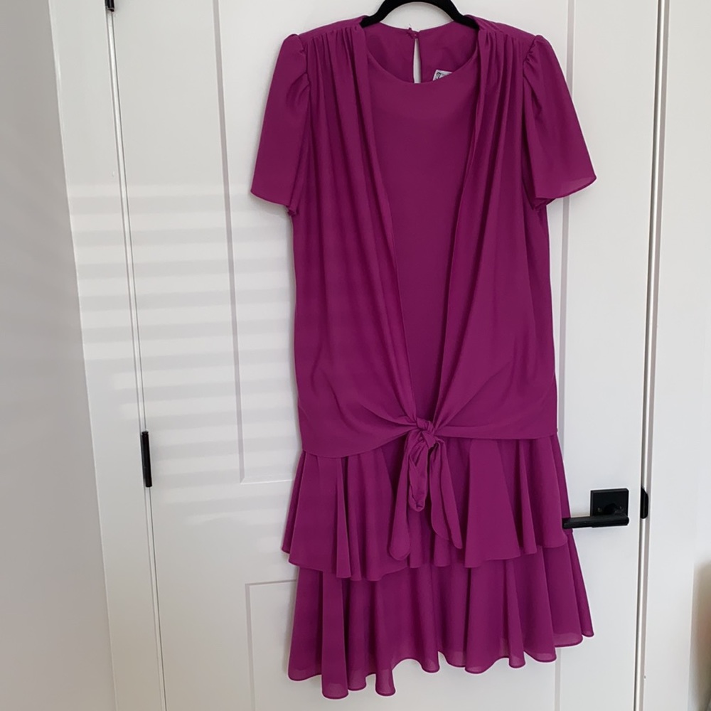 Vintage T Fe Magenta Drop Waist Dress - Picture 3 of 14
